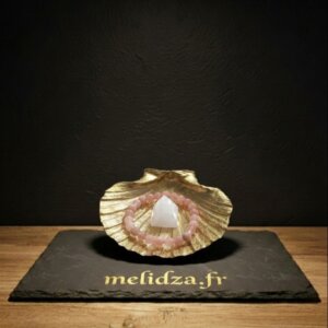 coquille saint jacques avec pyramide quartz rose et bracelet pierre de lune