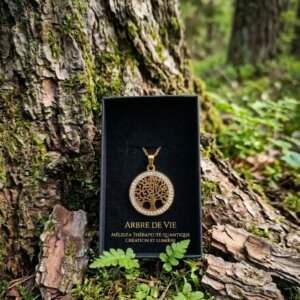 Collier Arbre de Vie dans sa boite au pied d'un arbre