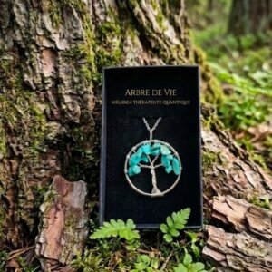 Collier en pierre de Turquoise dans sa boite au pied d'un arbre