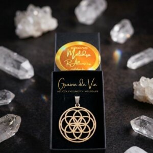 Collier Graine de Vie dans sa boite entouré de quartz blanc