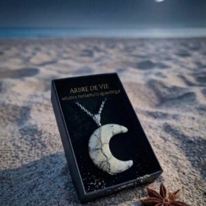 Collier Pierre de lune arbre de vie dans sa boite à bijou